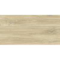Керамогранит Ajanta-ash лотус 60x120 (2,16м2/45,36м2/21уп) GRS11-17s (В)
