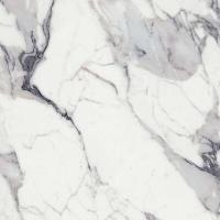 ORIGINES DE REX ARGENT GLO 6MM 120X120 R (769959) 120х120 Глазурованный керамогранит
