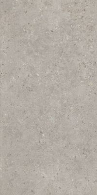 KERAMA MARAZZI Керамический гранит SG519920R Риккарди серый светлый матовый обрезной 60х119,5x0,9 керам.гранит 2 242.80 руб. - бесплатная доставка