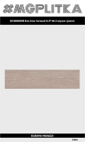 SG400600N Вяз беж темный 9,9х40,2х8 ОРЕЛ