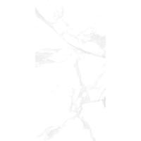 Керамогранит BONY STATUARIO (GLOSSY) 60х120 (1,44м2/43,2м2/30уп)