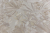 KERAMA MARAZZI  KM5902 Обои виниловые на флизелиновой основе Джангл, мотив, бежевый КЕРАМА МАРАЦЦИ 4 550.40 руб. - бесплатная доставка