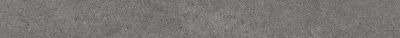 KERAMA MARAZZI Керамический гранит DL501100R/1 Подступенок Фондамента пепельный обрезной 119.5*10.7 596.40 руб. - бесплатная доставка